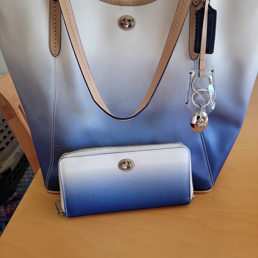 Coach Ombre bag and wallet
